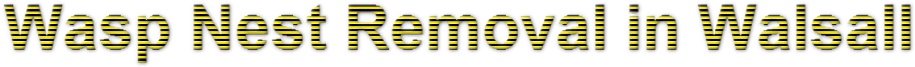 Wasp Nest Removal In Walsall